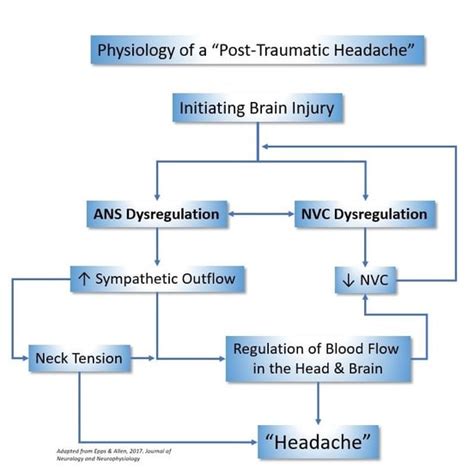 Post Concussion Headaches Causes And Treatment Options