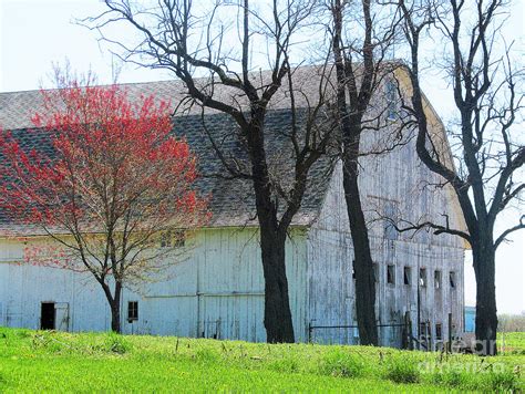 Huge White Old Barn Photograph By Tina M Wenger Fine Art America