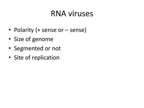 Segmented DsRNA Retroviruses