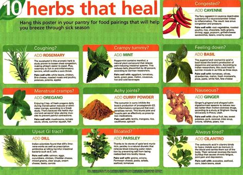 10 herbs that heal