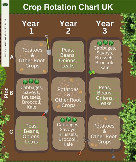 Crop Rotation Charts And Examples For Beginner Green Thumbs Wm James And Co