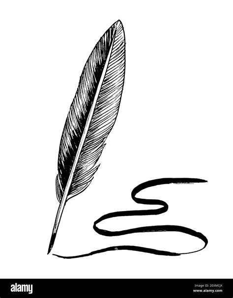Feather Quill Pen Ink Black And White Drawing Stock Photo Alamy