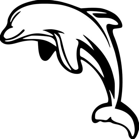 Dolphin Leaping White Free Vector Graphic On Pixabay