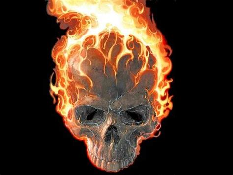 Best Wallpaper And Profile Pic Skull On Fire Skull Wallpaper