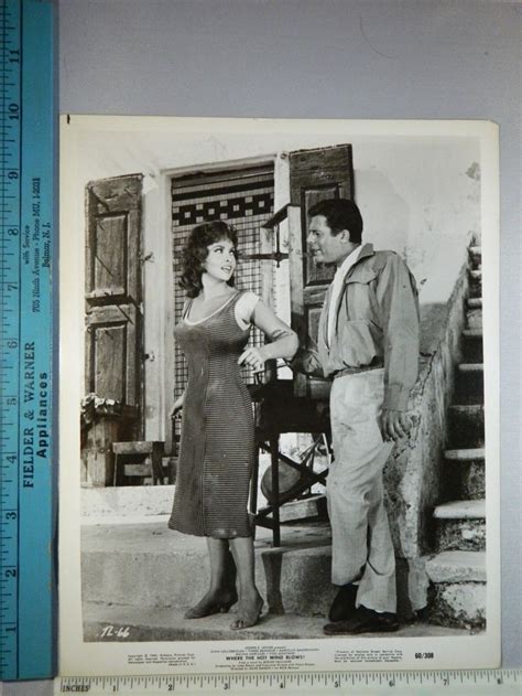 Rare Orig Vtg 1960 Gina Lollobrigida Where The Hot Wind Blows Movie Photo Still Ebay Movie