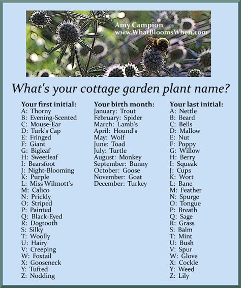 We did not find results for: What's Your Cottage Garden Plant Name? Amy Campion What ...