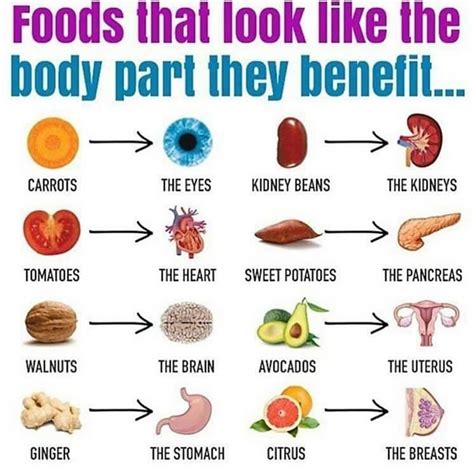 Foods That Look Like The Body Part They Benefit Rcoolguides