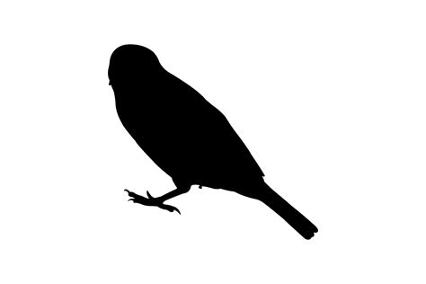 Sparrow Silhouette Graphic By Illustrately · Creative Fabrica