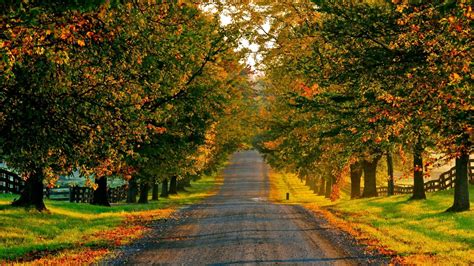 Countryside Road In Autumn Wide Hd Wallpaper