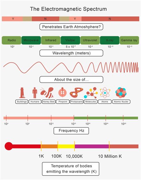 The table shows a set of types of electromagnetic waves and the orders of magnitude of their wavelengths. Worksheet Waves And Electromagnetic Spectrum Worksheet ...