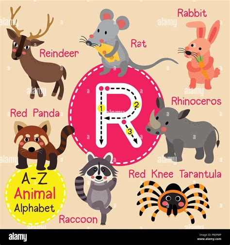 Cute Children Zoo Alphabet R Letter Tracing Of Funny Animal Cartoon For