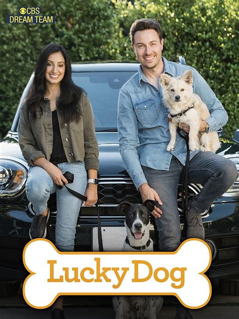 Lucky Dog Tv Series 2013 Imdb