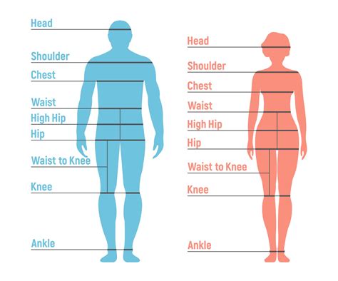 Free Printable Body Measurement Chart