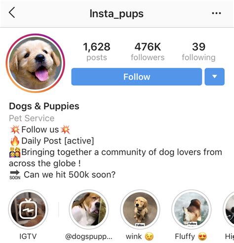 So, let's not wait for anything just scroll down and check out the. Instagram Bio Ideas to Get More Followers - Social Buddy
