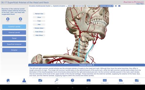 Anatomy And Physiology Apk For Android Download