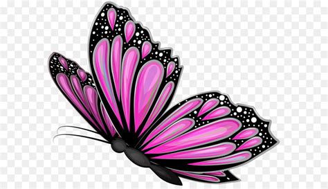 Its size is 1.76 mb and you can easily and free download it from this link: Free Transparent Butterfly Images, Download Free Clip Art ...