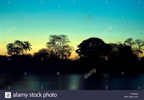 Crescent Moon Tree Silhouette Stock Photos And Crescent Moon