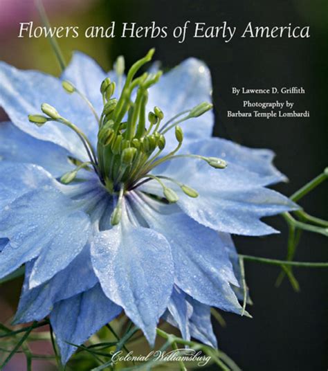 Flowers And Herbs Of Early America Harvesting History