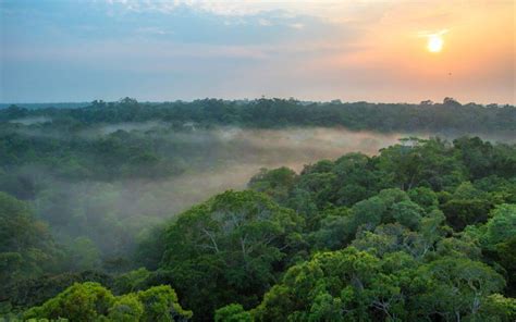 Clima Equatorial é Predominante Ao Longo Da Linha Do Equador