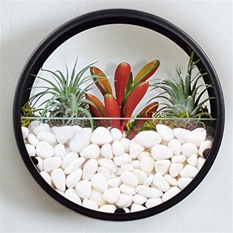 Ecosides Wall Mounted Planter Wall Hanging Planters Metal Plant