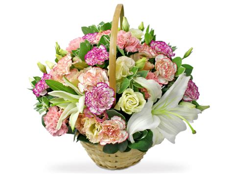 Get inspired by one of these messages and add it on the free greeting card you get with your flowers: Get Well Soon Gift - Little flower basket bk01 - L193966 ...