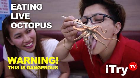 Eating Live Octopus In South Korea Youtube