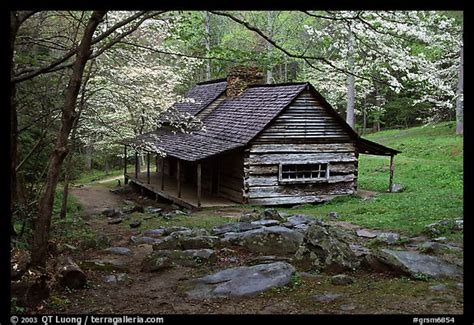 Picturephoto Noah Ogle Historical Cabin Framed By Blossoming Dogwood