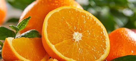 5 Facts About Navel Oranges That Might Surprise You Farm Fresh Fruit