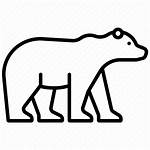 Polar Icon Bear Climate Change Icons Ecology