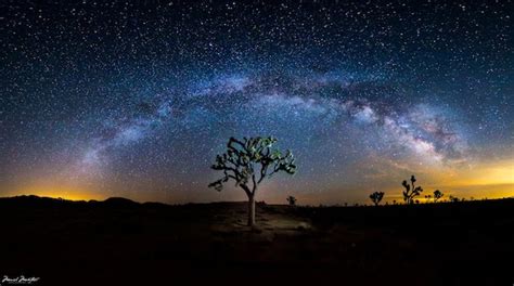 Picture Of The Milky Way Over Joshua Tree National Park