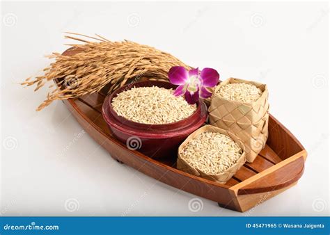 Germinated Brown Rice Or Gaba Rice Stock Image Image Of Disease