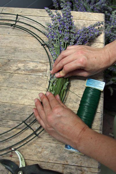 Making A Lavender Wreath How To Lavender Wreath Lavender Crafts