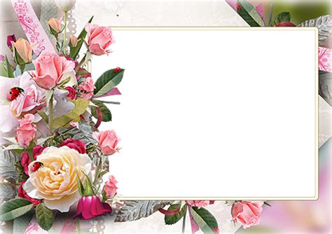 We did not find results for: Marcos Decorados Elegante Fondo De Cumpleaños Mujer / De ...