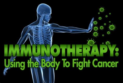 An Introduction To Cancer Immunotherapy Rubio Cancer Center
