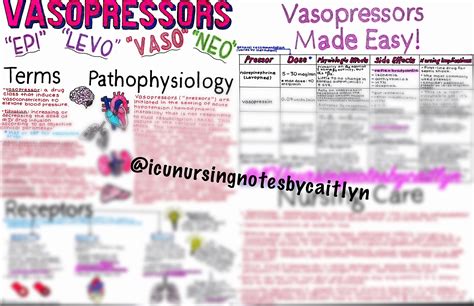 A Nursing Cheat Sheet About Vasopressors That Includes Important Terms