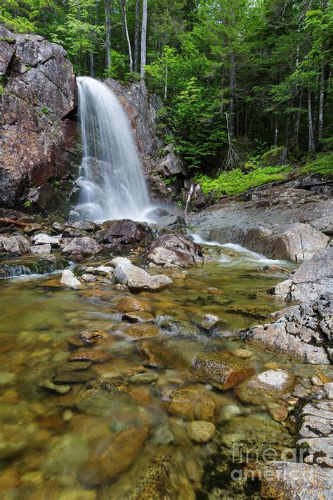 Thirteen Falls Pemigewasset Wilderness New Hampshire Photograph By