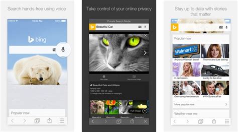 Bing App Gets Private Search Mode New Image Search In