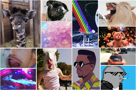 60 Cool Funny And Aesthetic Profile Pictures How To Apps