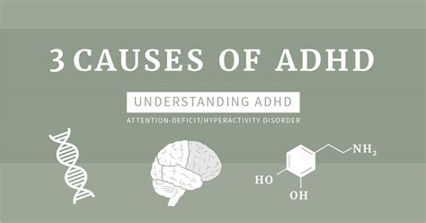 The 3 Causes Of Adhd