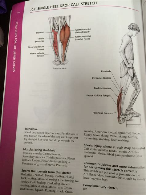 Pin By Kat On Stretching Book Calf Stretches Heel Drop Peroneus Longus