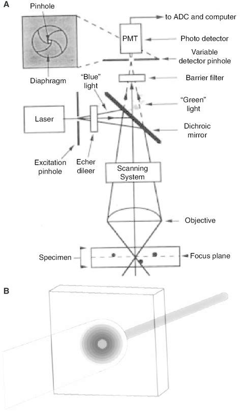 4 Confocal Schematic A Block Diagram Of The Optical Components Of A