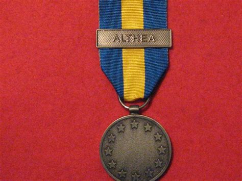 Full Size Eu European Union Medal With Althea Clasp Replacement Medal