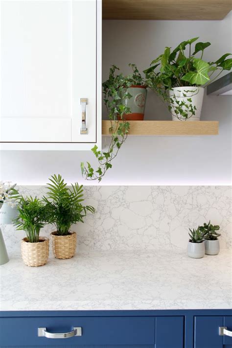 Not only do plants increase the oxygen in our homes, but their root systems are incredibly effective at removing volatile organic compounds (vocs). Indoor Plants for Kitchens - Kitchen Inspiration Blog ...
