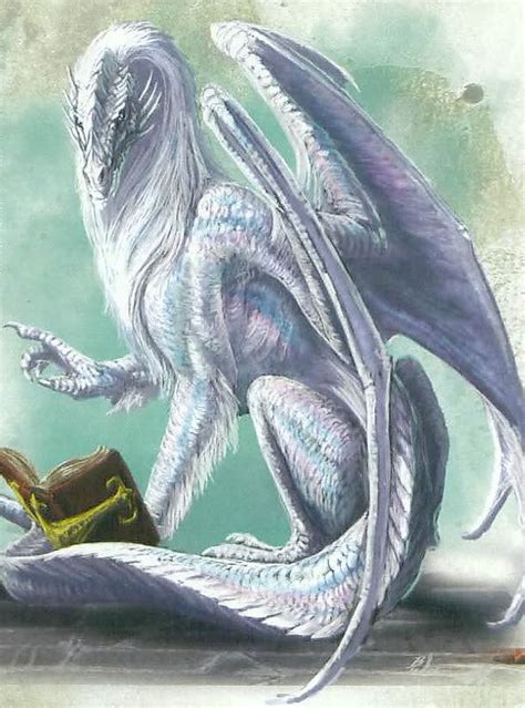 Arcane Dragons Forgotten Realms Cormyr
