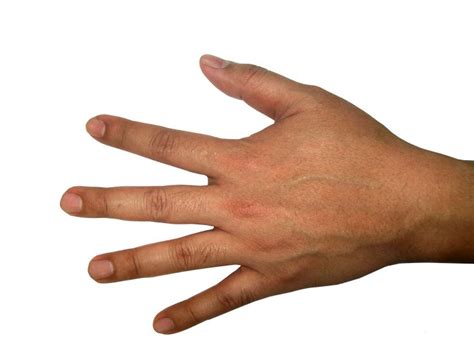 Five Finger Hand PNG Image Finger Hands Five Fingers Hand Png