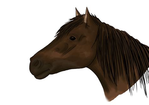 Comment Dessiner Une Tête De Cheval Blog Dessindigo