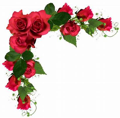 Roses Clipart Decor Stickers Frames