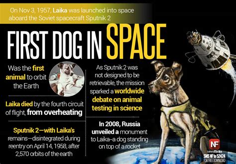 She was selected to be the occupant of the soviet spacecraft sputnik 2 that launched into outer space on 3 november, 1957. Newsflicks on Twitter: "Laika became the first dog in ...
