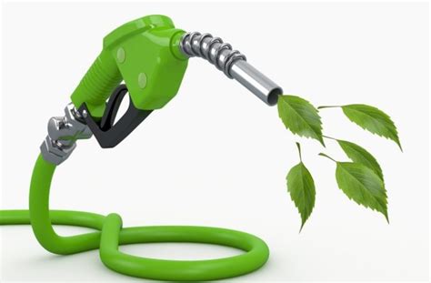 Biofuels Not Very Green Financial Tribune