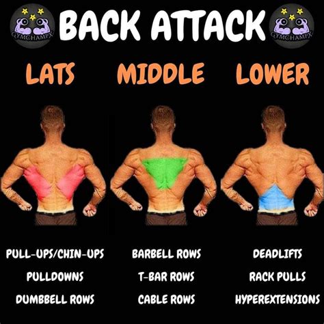 Best Muscle Building Back Exercises Are You Ready To Grow GymGuider Com Back Exercises